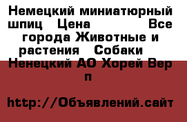 Немецкий миниатюрный шпиц › Цена ­ 60 000 - Все города Животные и растения » Собаки   . Ненецкий АО,Хорей-Вер п.